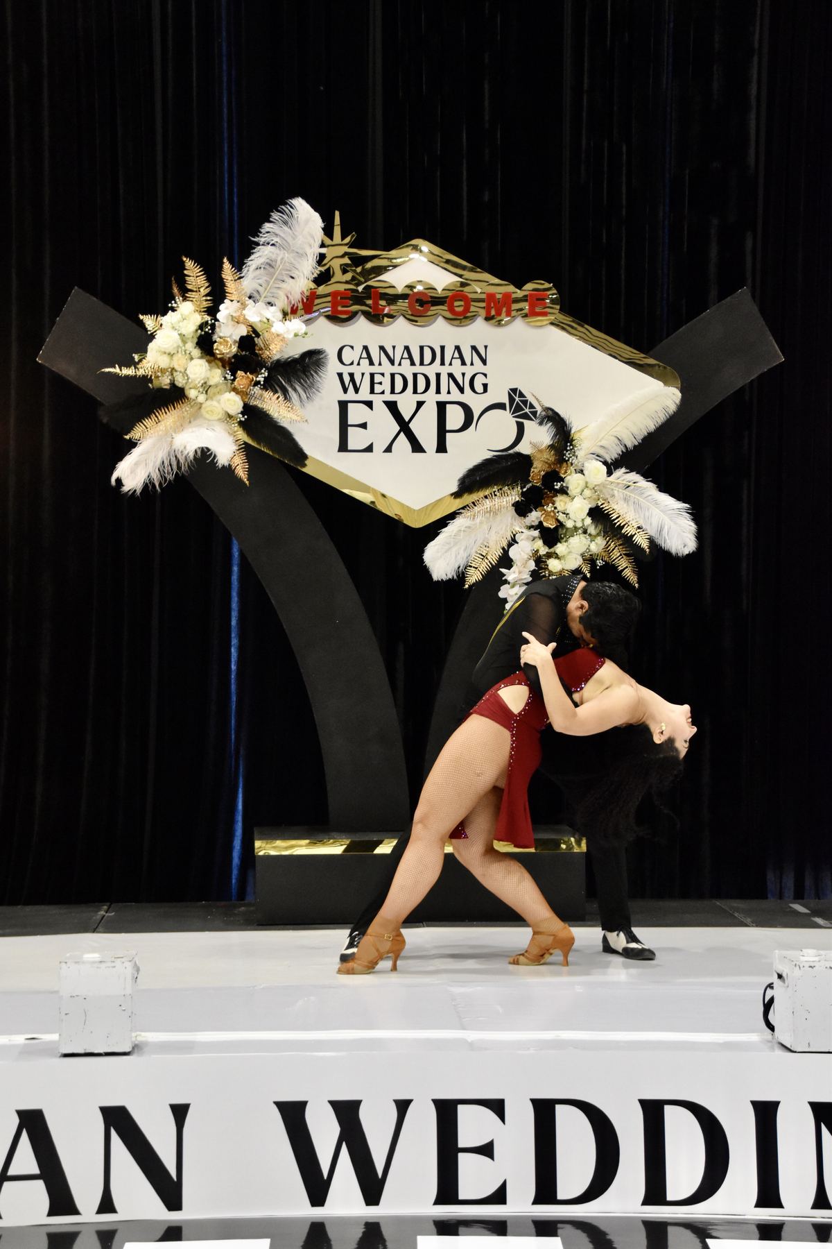 Canadian Wedding Expo — ZzSalsa dip